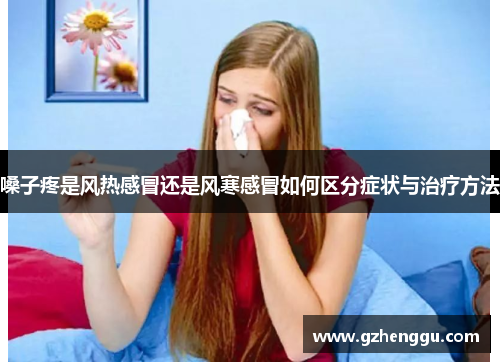 嗓子疼是风热感冒还是风寒感冒如何区分症状与治疗方法