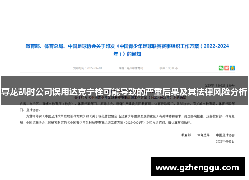 尊龙凯时公司误用达克宁栓可能导致的严重后果及其法律风险分析