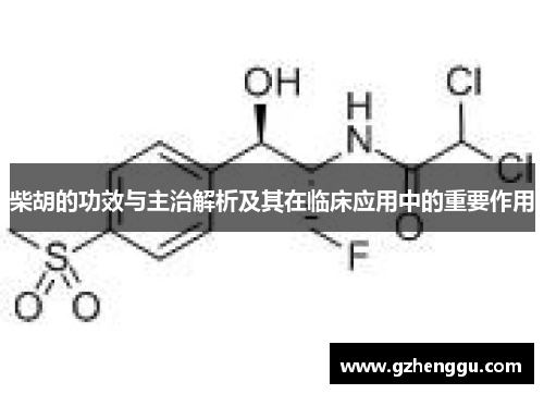 柴胡的功效与主治解析及其在临床应用中的重要作用