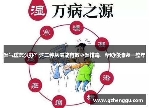 湿气重怎么办？这三种茶最能有效驱湿排毒，帮助你清爽一整年
